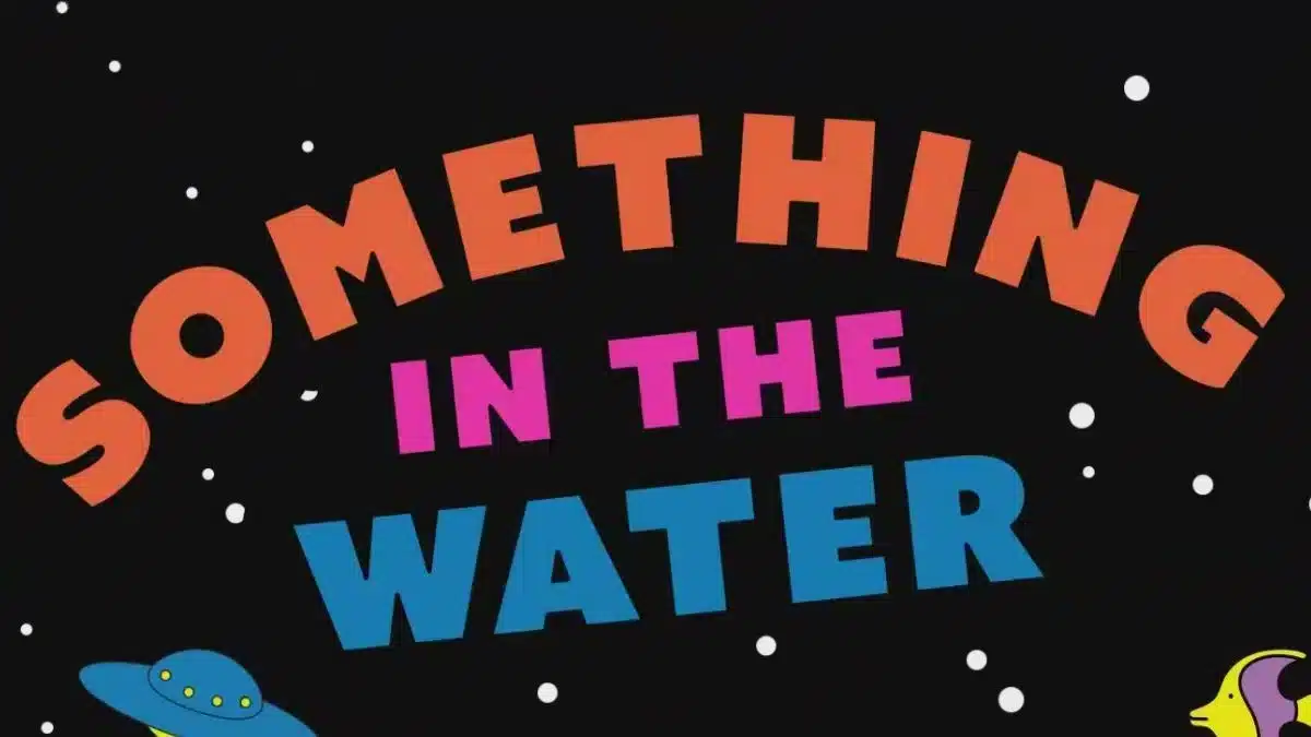 Something in the Water Festival Postponed to 2025